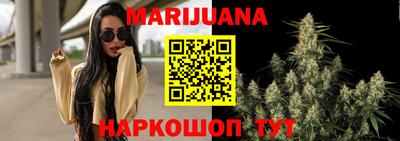ешки Бердск