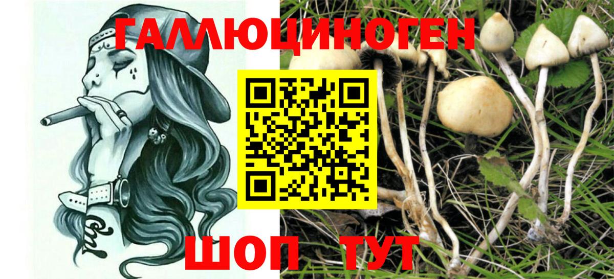 Галлюциногенные грибы Magic Shrooms  Вход с VPN  Псилоцибиновые грибы Magic Shrooms  купить наркоту  Анжеро-Судженск 