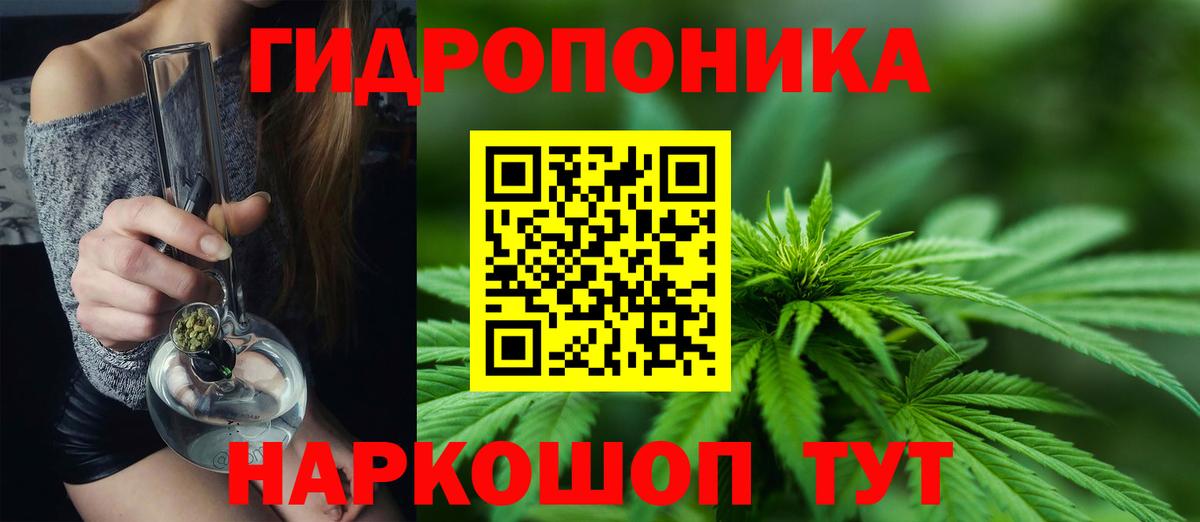 Конопля план  Каннабис White Widow  Анжеро-Судженск  Вход с VPN  МАРИХУАНА Bruce Banner 